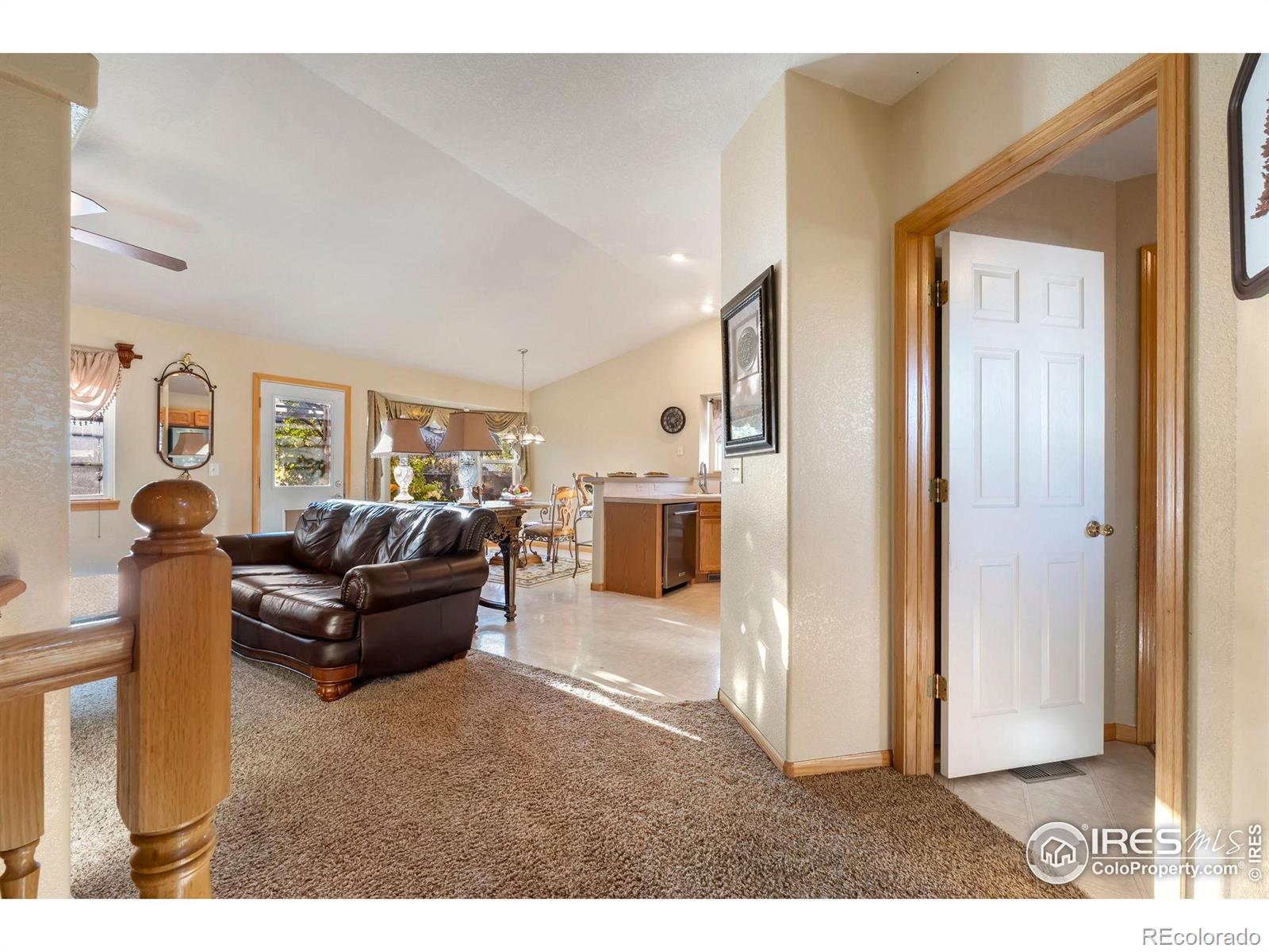 MLS Image #5 for 623  foxtail way,severance, Colorado