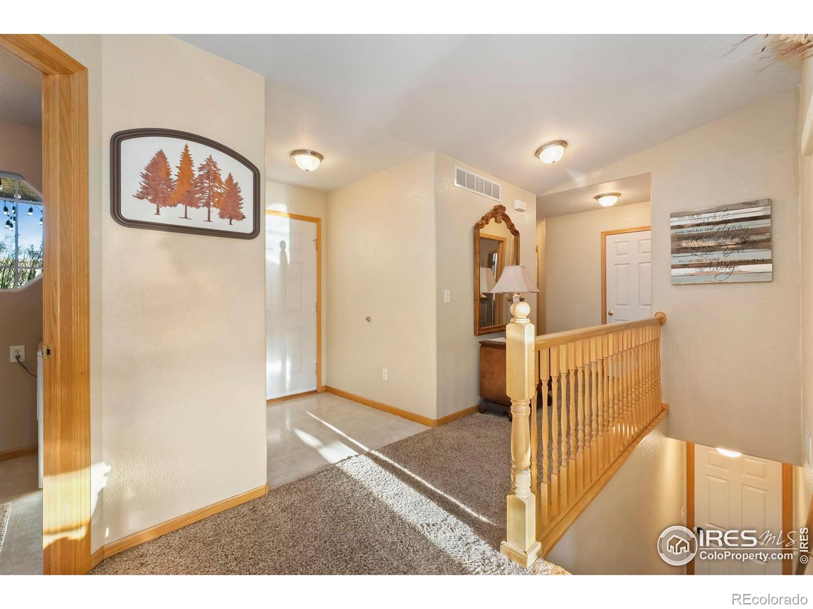 MLS Image #6 for 623  foxtail way,severance, Colorado