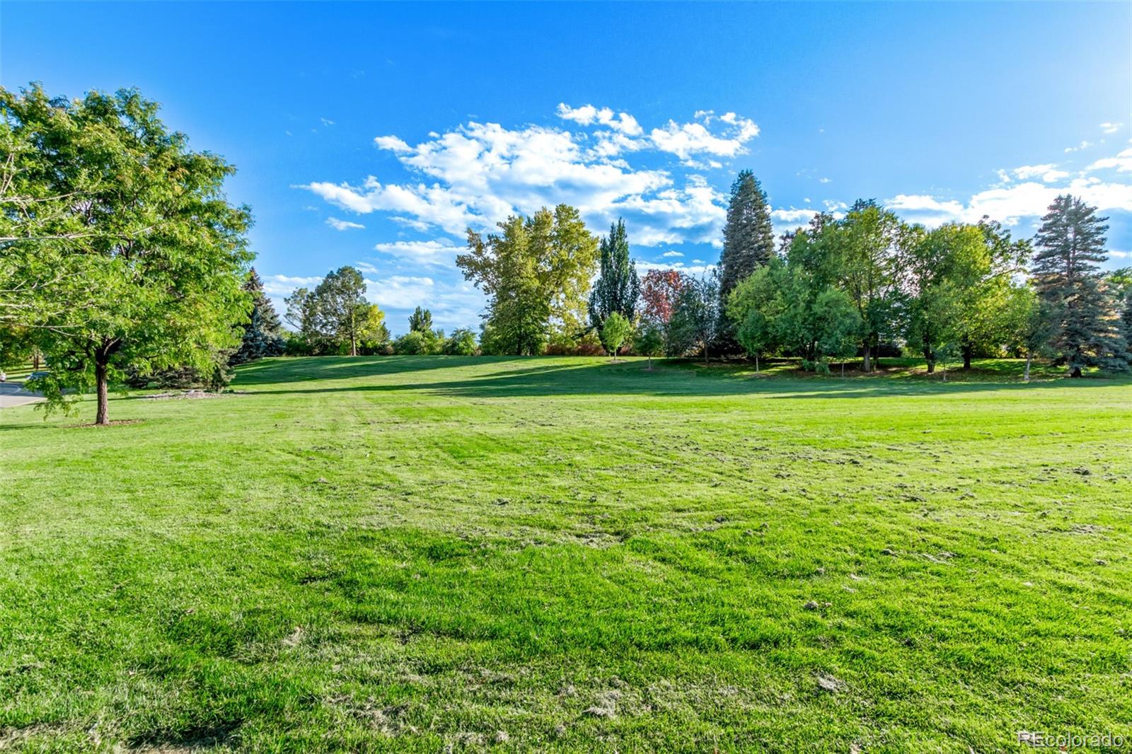 MLS Image #37 for 2061 s stuart street,denver, Colorado