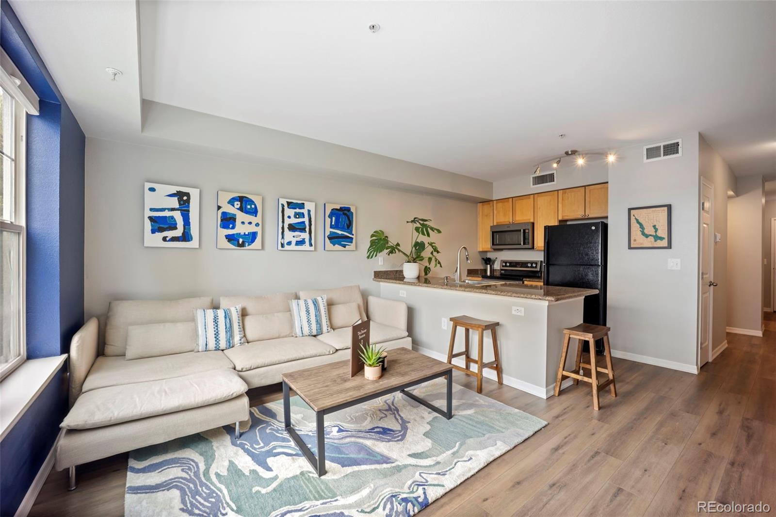 MLS Image #0 for 1623  saint paul street 203,denver, Colorado
