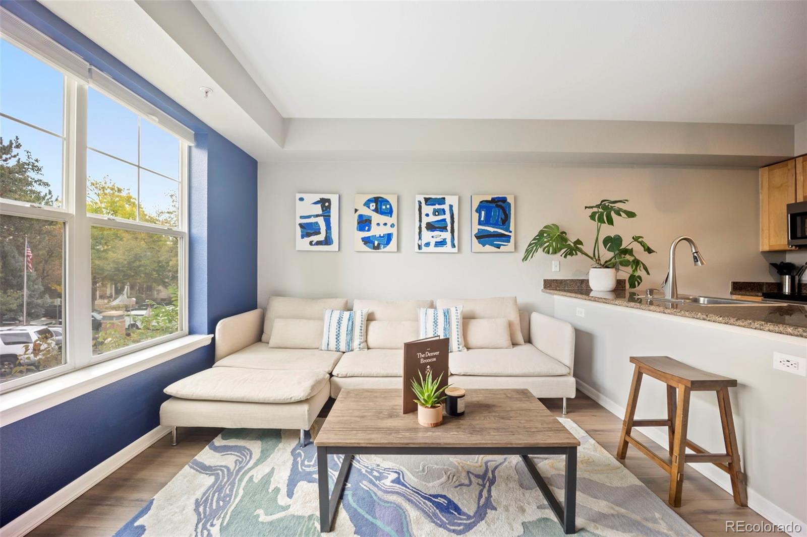 MLS Image #7 for 1623  saint paul street 203,denver, Colorado