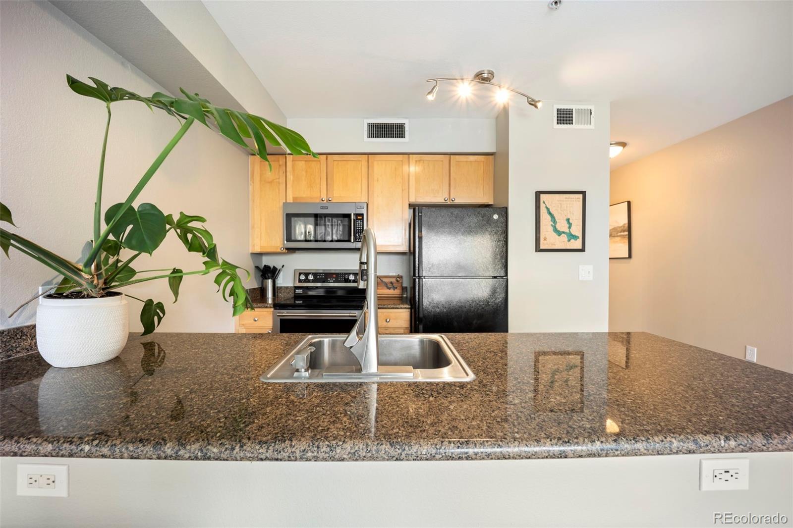 MLS Image #8 for 1623  saint paul street 203,denver, Colorado