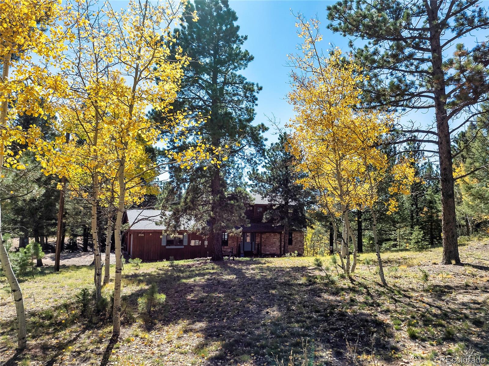 MLS Image #1 for 356  spring valley drive,divide, Colorado