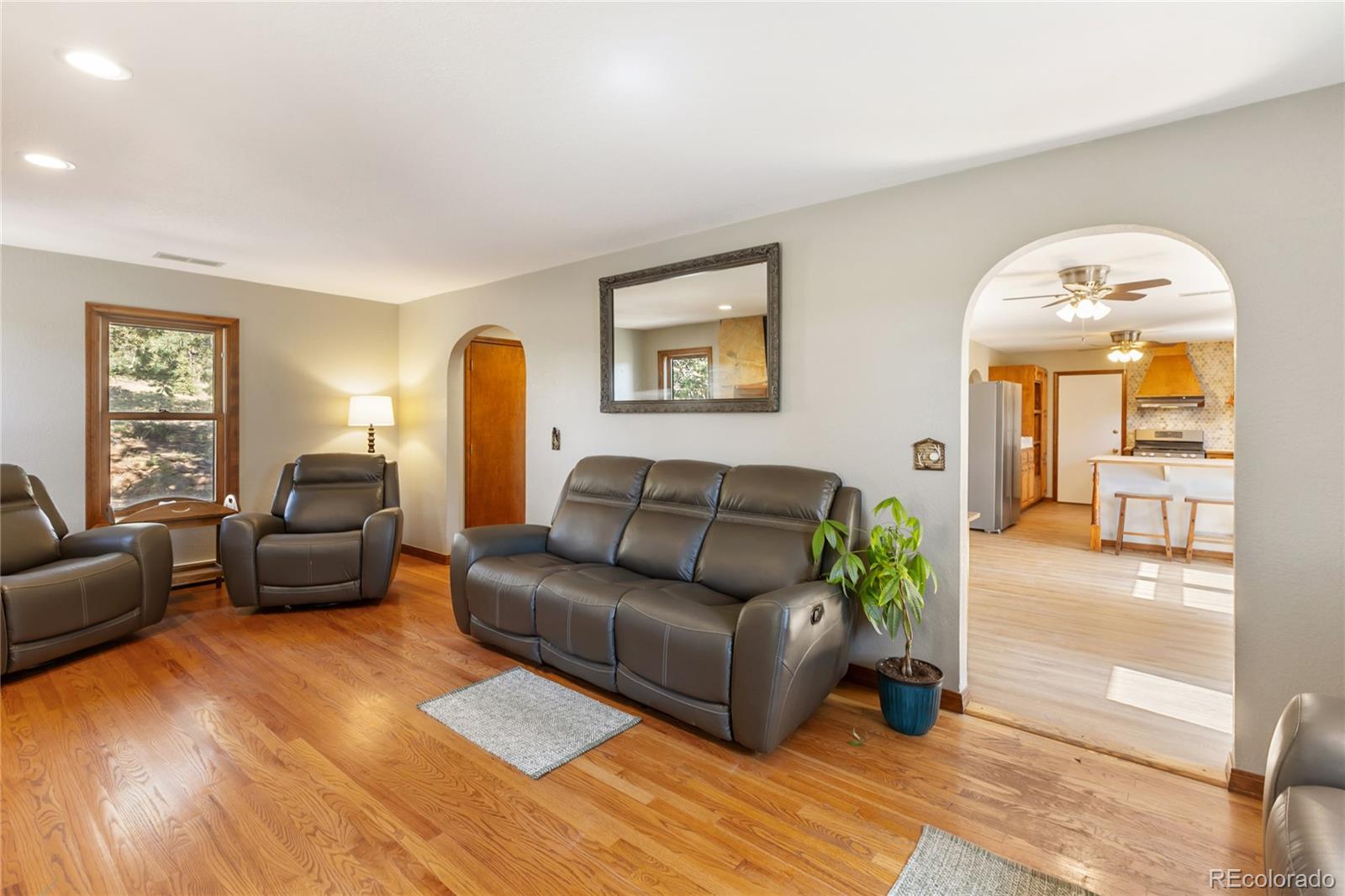 MLS Image #10 for 356  spring valley drive,divide, Colorado