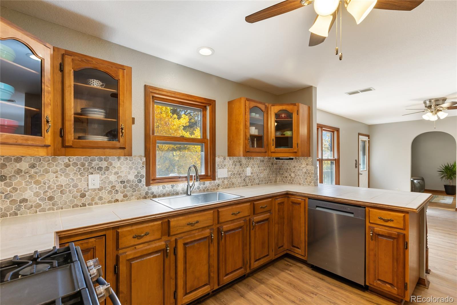 MLS Image #11 for 356  spring valley drive,divide, Colorado