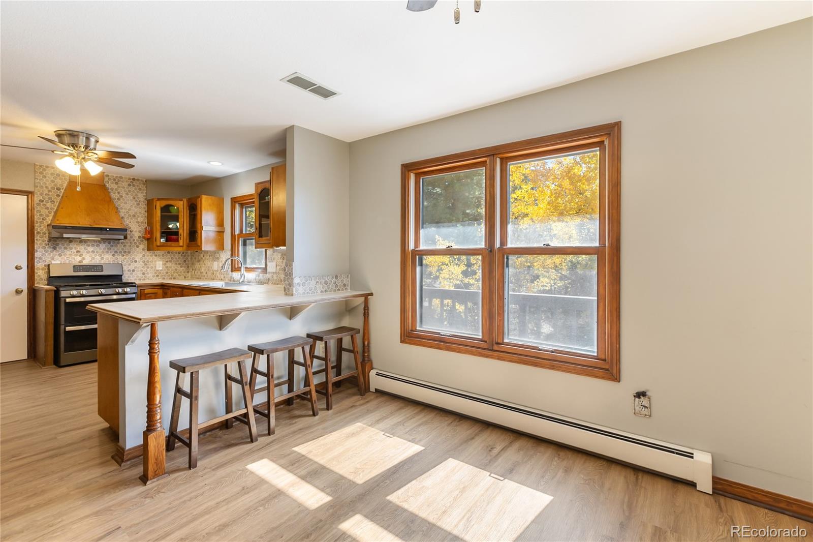 MLS Image #12 for 356  spring valley drive,divide, Colorado