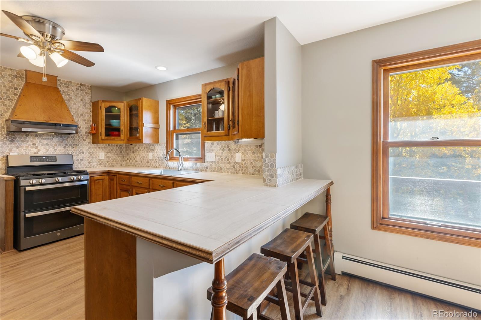 MLS Image #13 for 356  spring valley drive,divide, Colorado