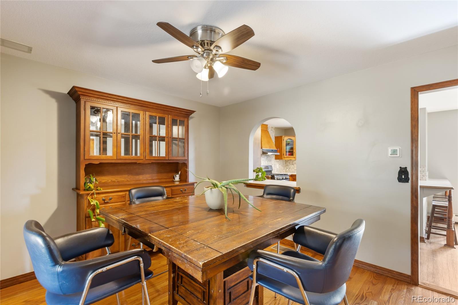 MLS Image #17 for 356  spring valley drive,divide, Colorado