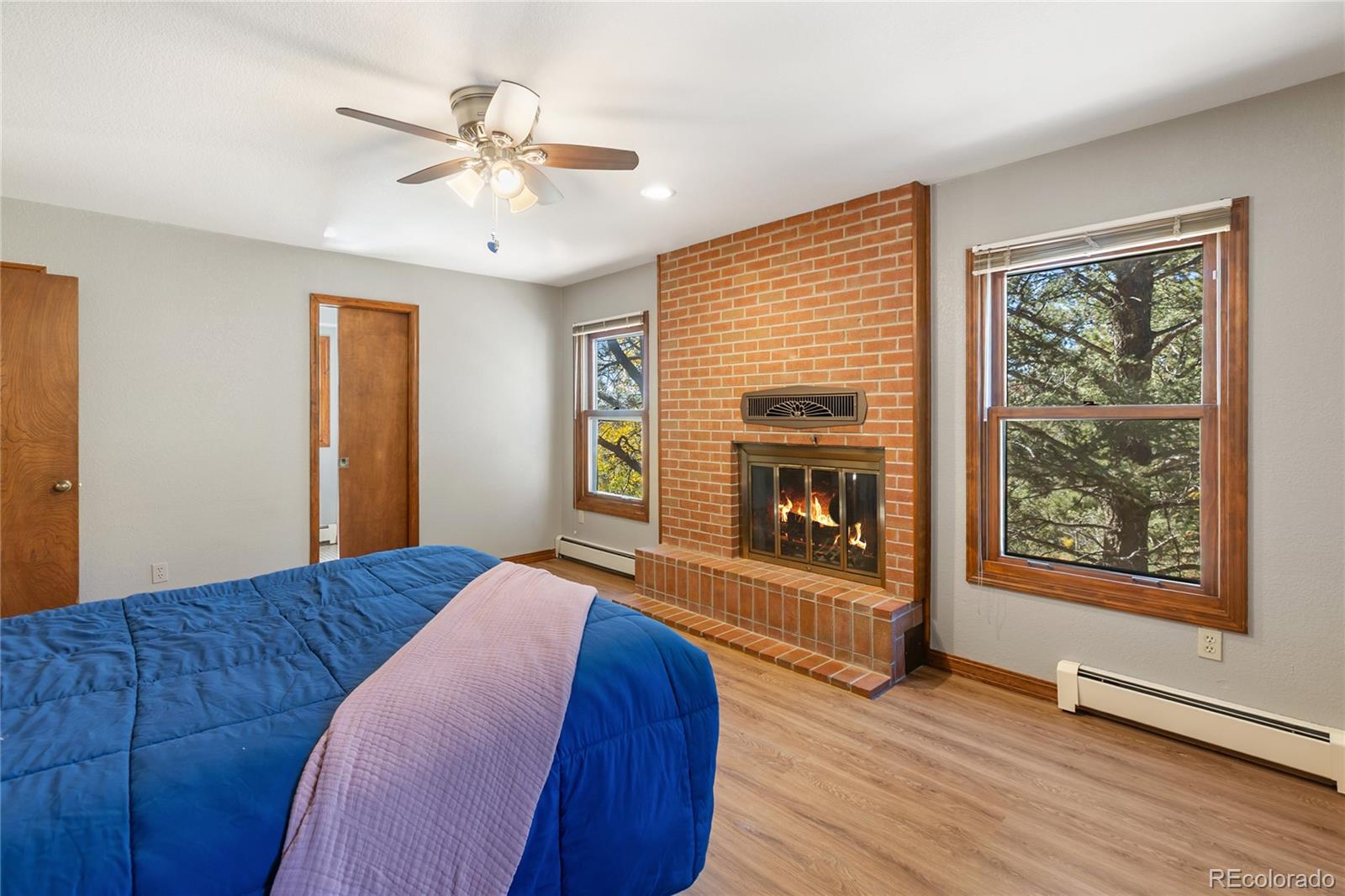 MLS Image #19 for 356  spring valley drive,divide, Colorado