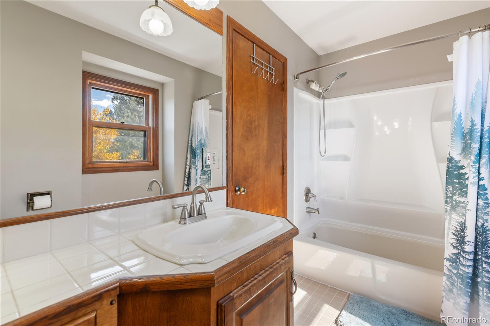 MLS Image #26 for 356  spring valley drive,divide, Colorado