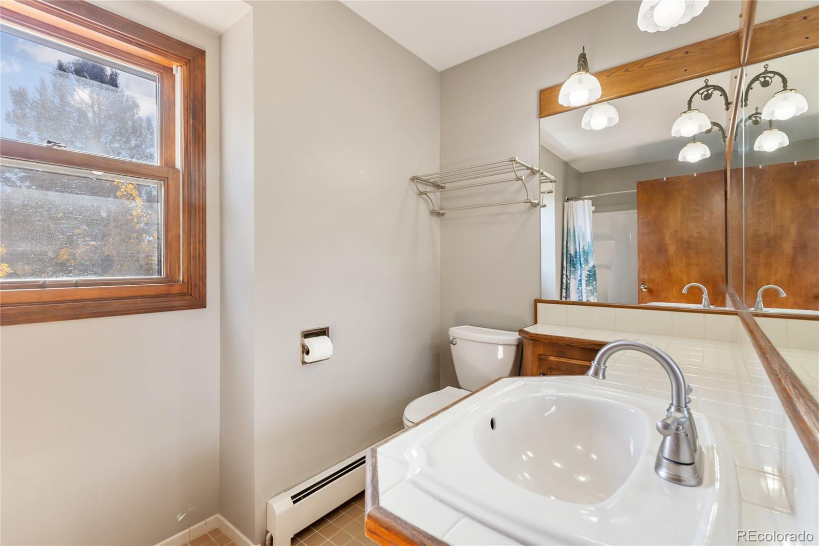 MLS Image #27 for 356  spring valley drive,divide, Colorado
