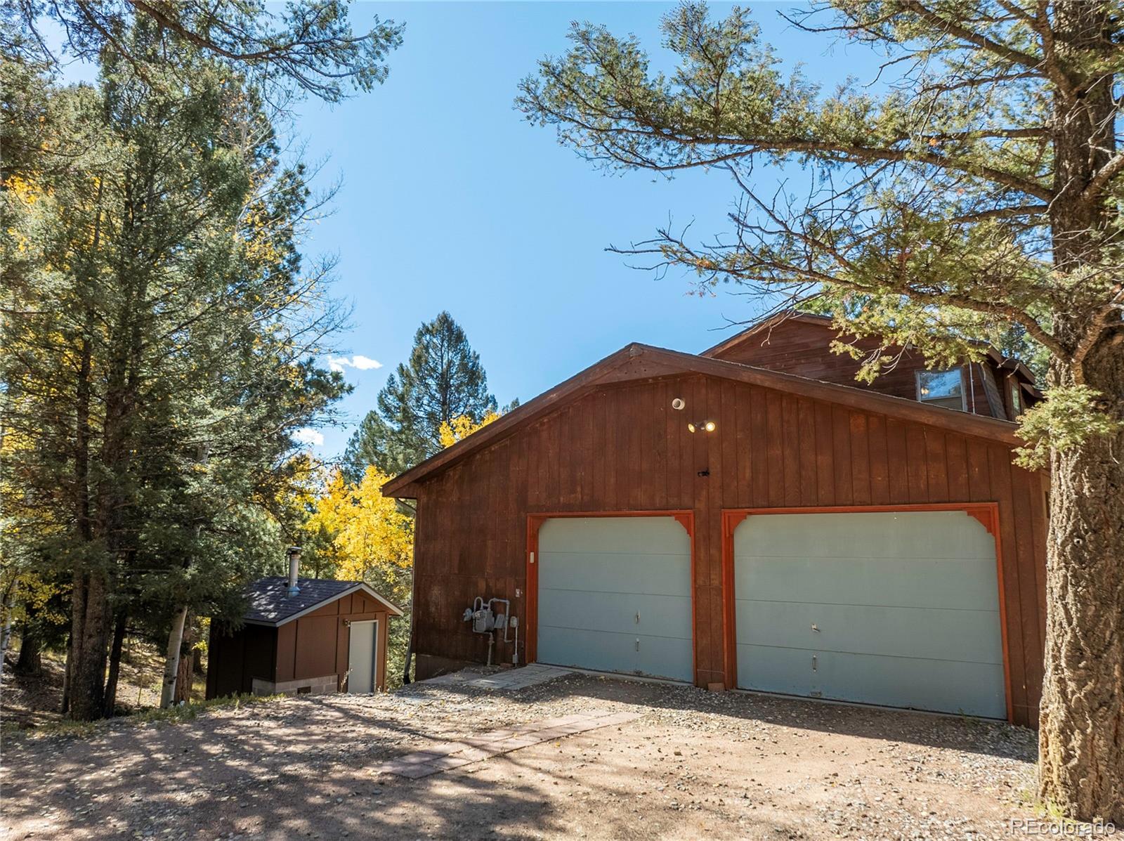 MLS Image #4 for 356  spring valley drive,divide, Colorado