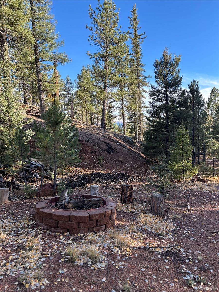 MLS Image #41 for 356  spring valley drive,divide, Colorado