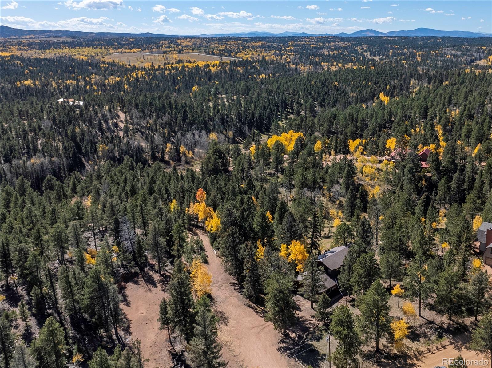 MLS Image #44 for 356  spring valley drive,divide, Colorado