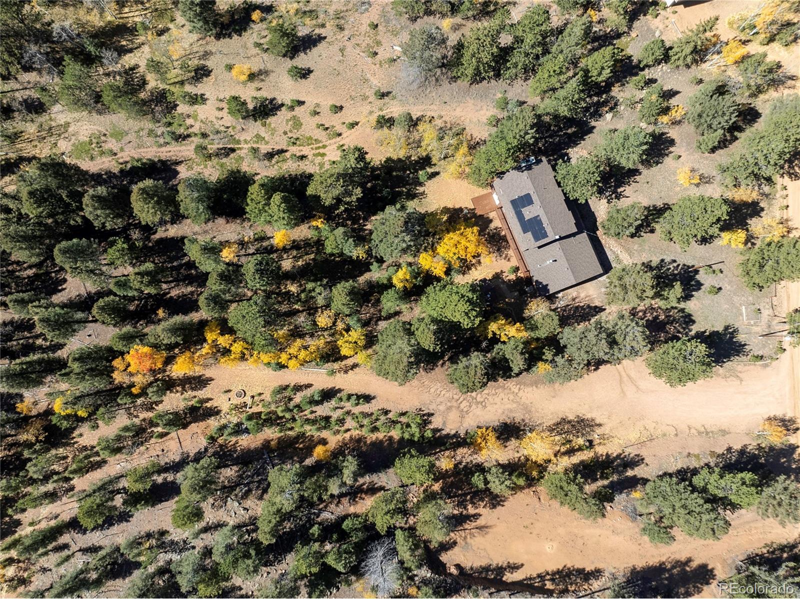 MLS Image #45 for 356  spring valley drive,divide, Colorado