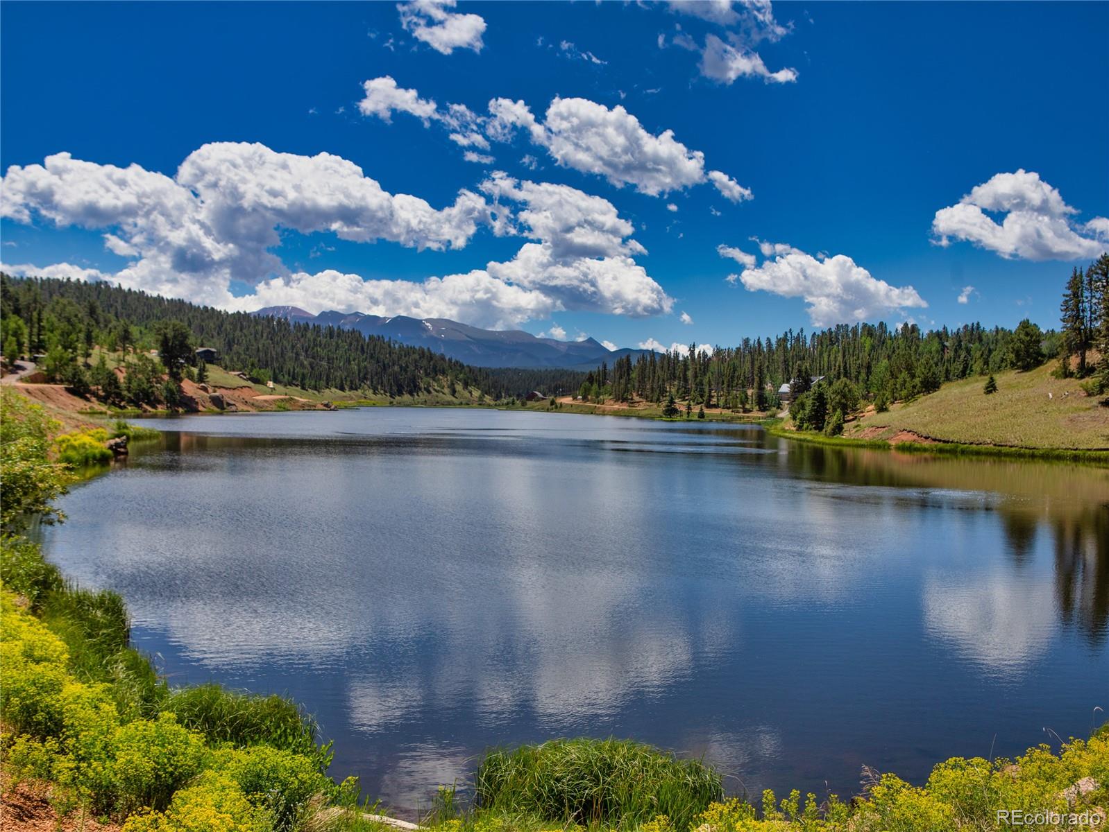 MLS Image #48 for 356  spring valley drive,divide, Colorado