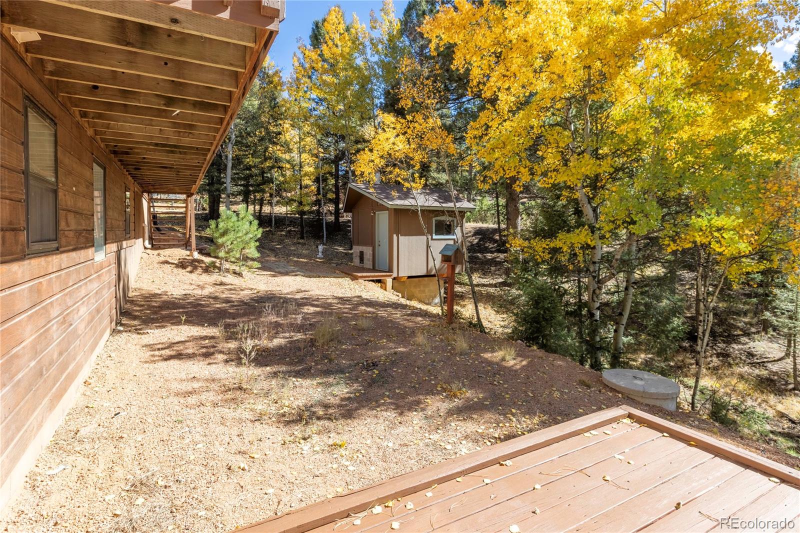 MLS Image #5 for 356  spring valley drive,divide, Colorado