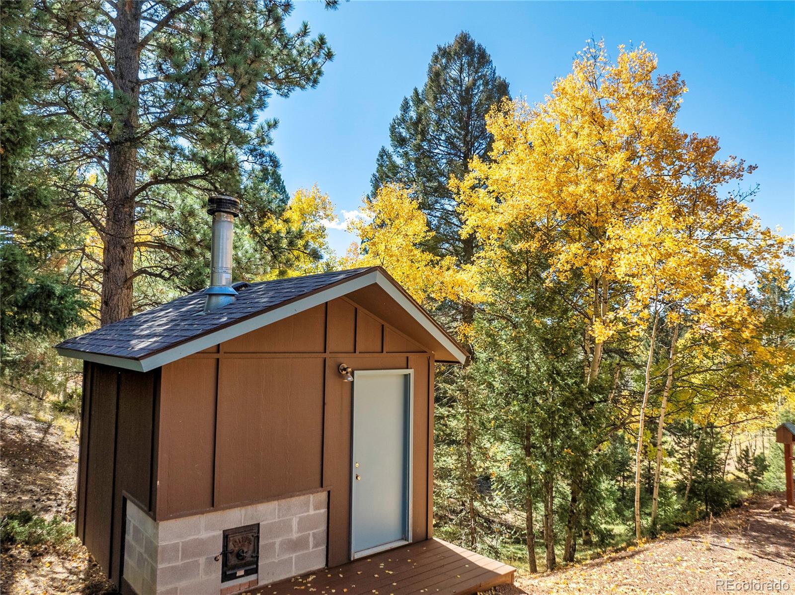 MLS Image #6 for 356  spring valley drive,divide, Colorado