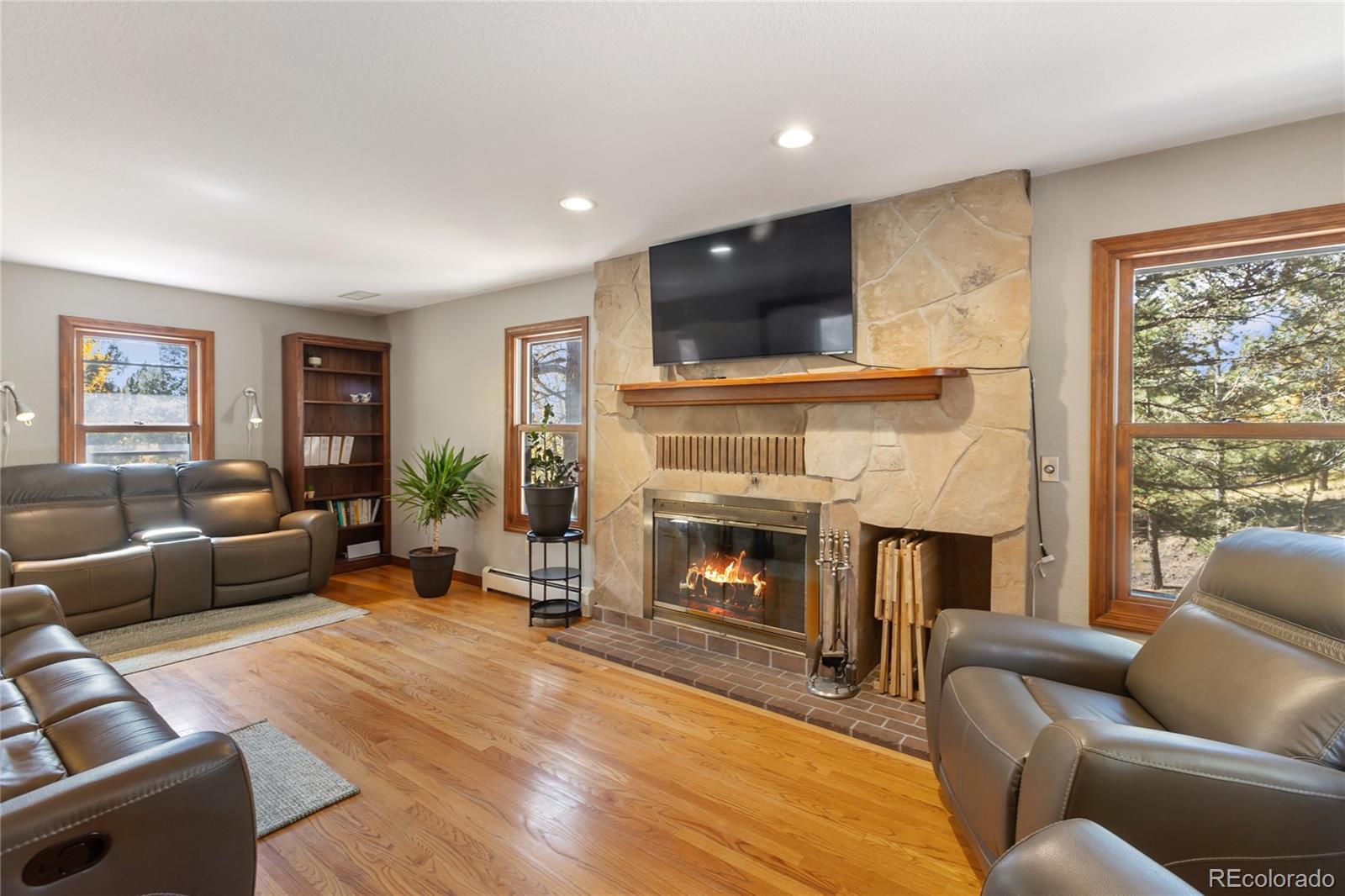 MLS Image #8 for 356  spring valley drive,divide, Colorado