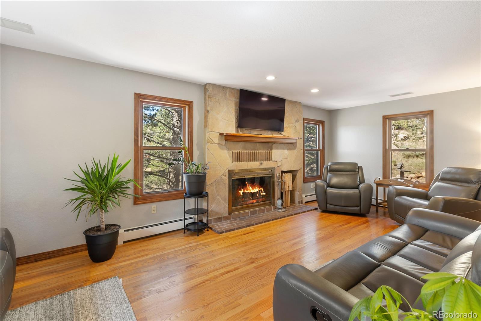 MLS Image #9 for 356  spring valley drive,divide, Colorado