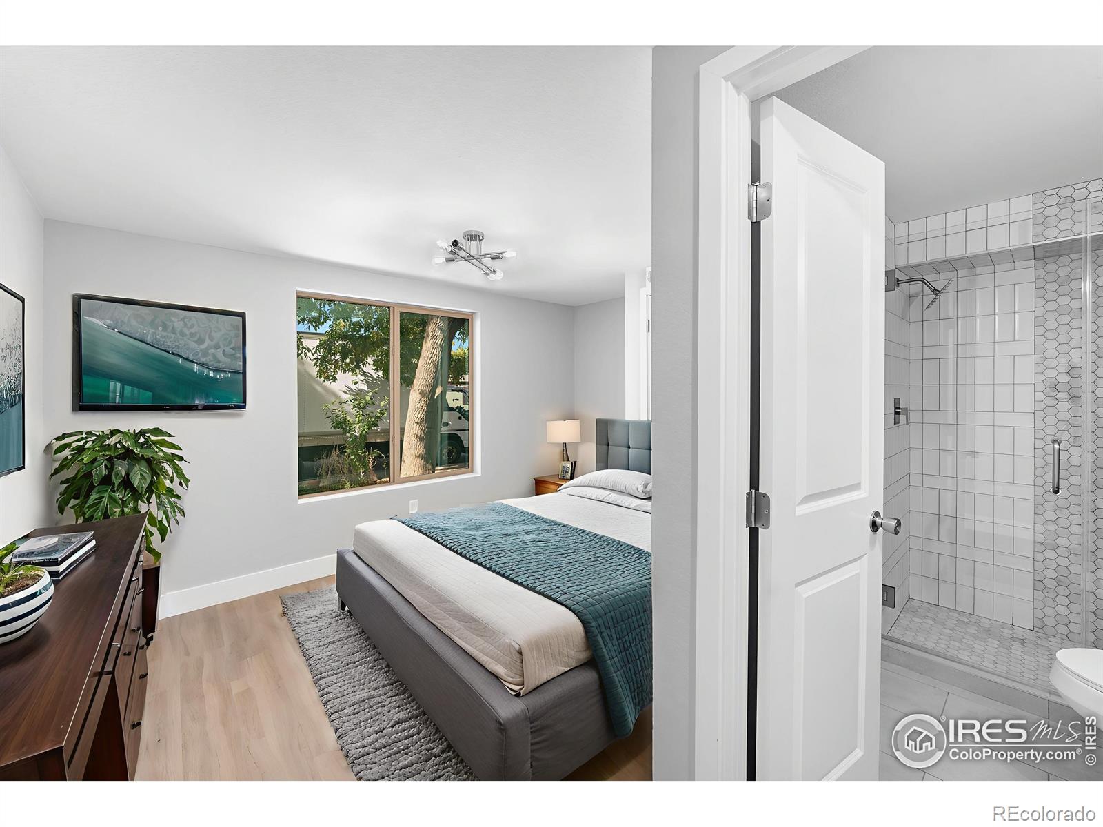MLS Image #15 for 1426  macpool street,dacono, Colorado