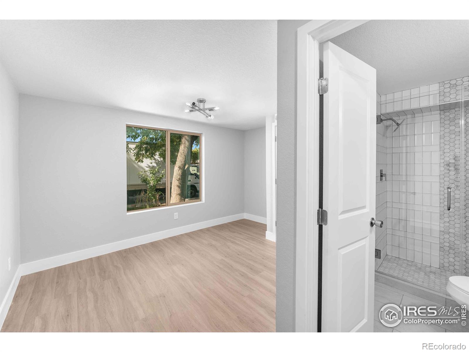 MLS Image #16 for 1426  macpool street,dacono, Colorado