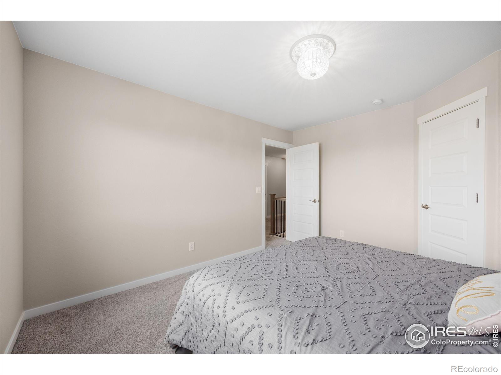 MLS Image #18 for 1757  covered bridge parkway,windsor, Colorado