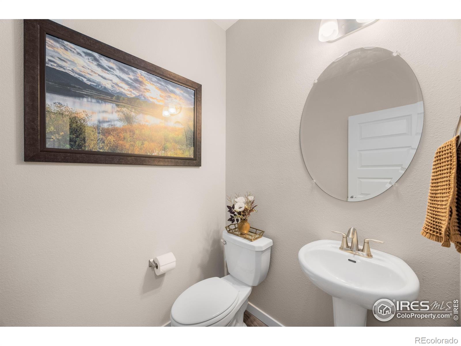 MLS Image #5 for 1757  covered bridge parkway,windsor, Colorado
