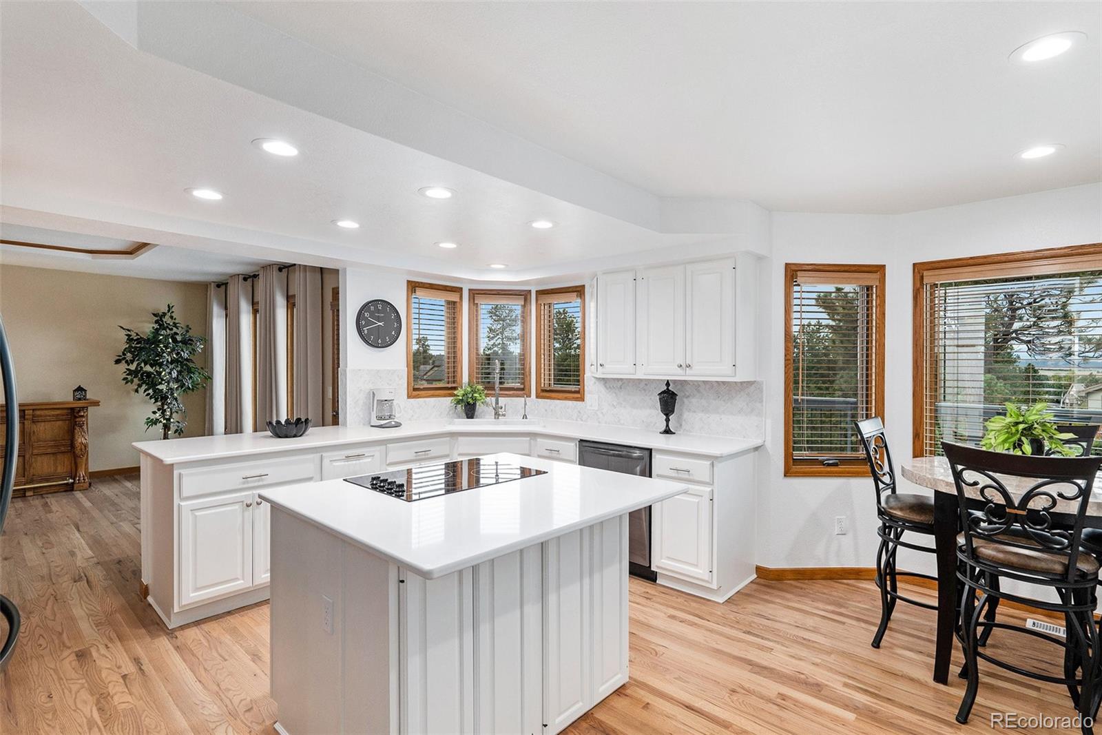 MLS Image #12 for 5542  ponderosa drive,parker, Colorado