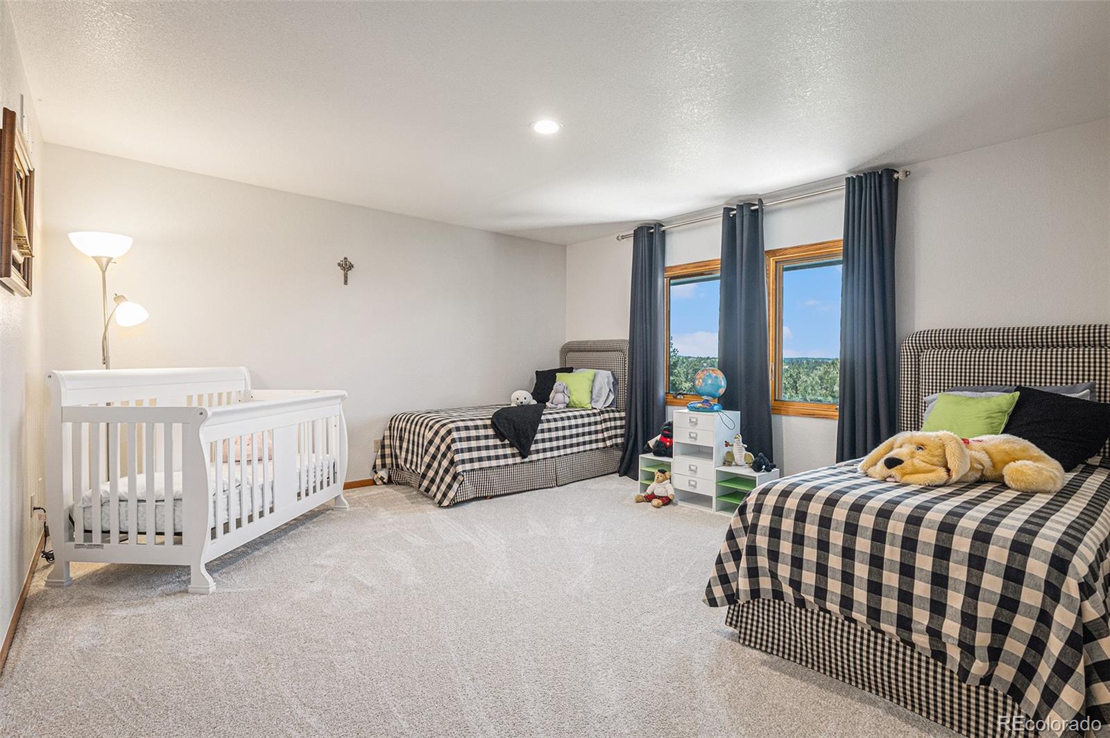 MLS Image #32 for 5542  ponderosa drive,parker, Colorado