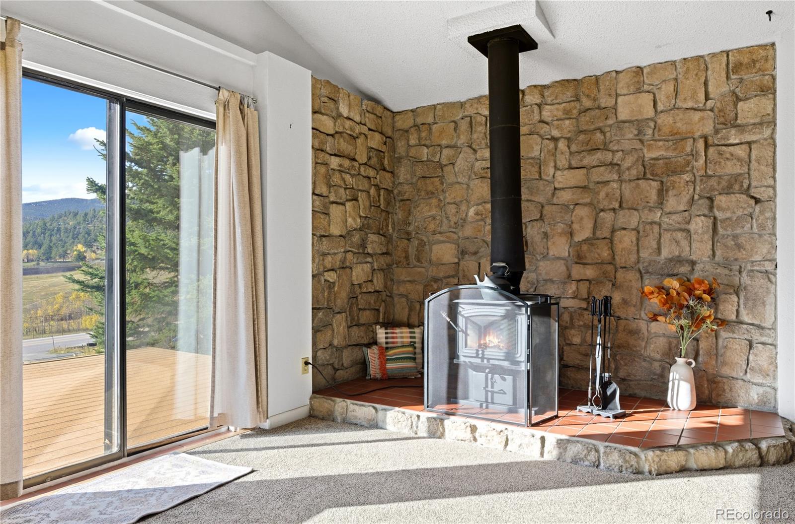 MLS Image #11 for 56  floyd hill way,evergreen, Colorado