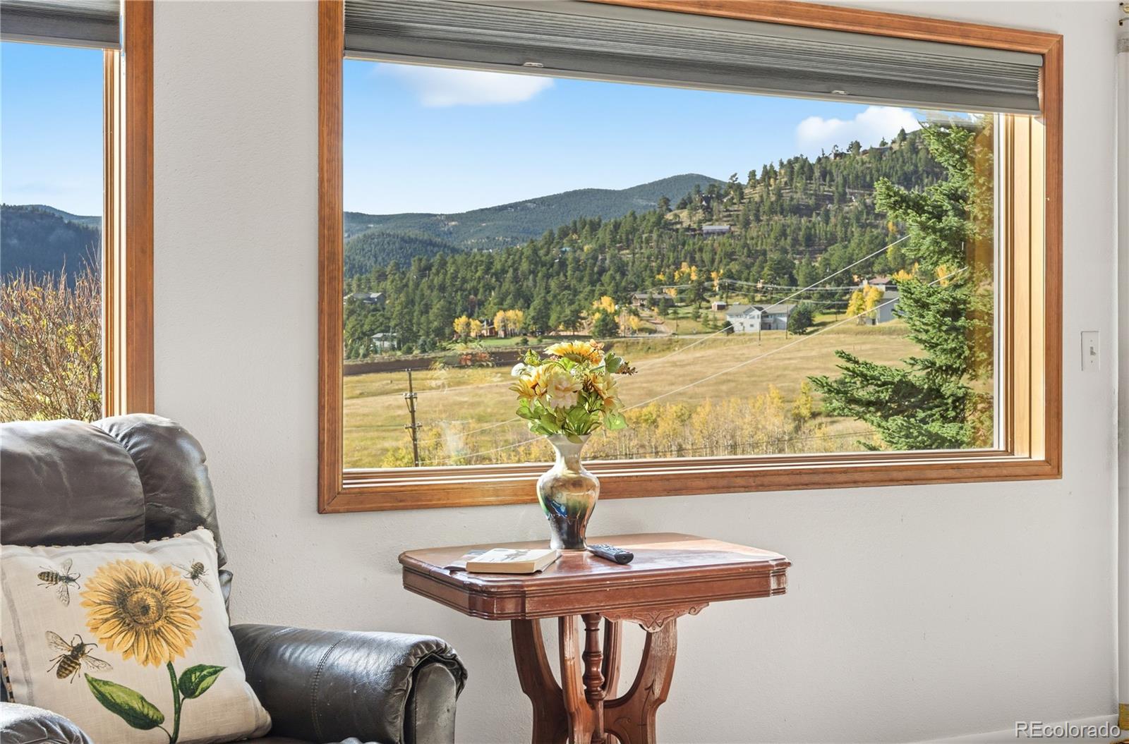 MLS Image #12 for 56  floyd hill way,evergreen, Colorado