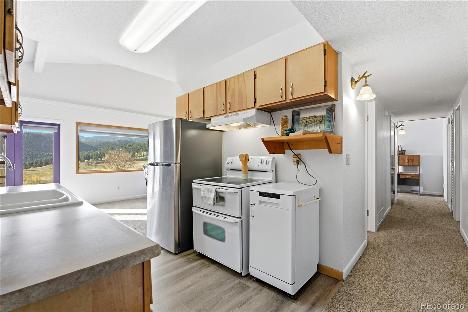 MLS Image #16 for 56  floyd hill way,evergreen, Colorado