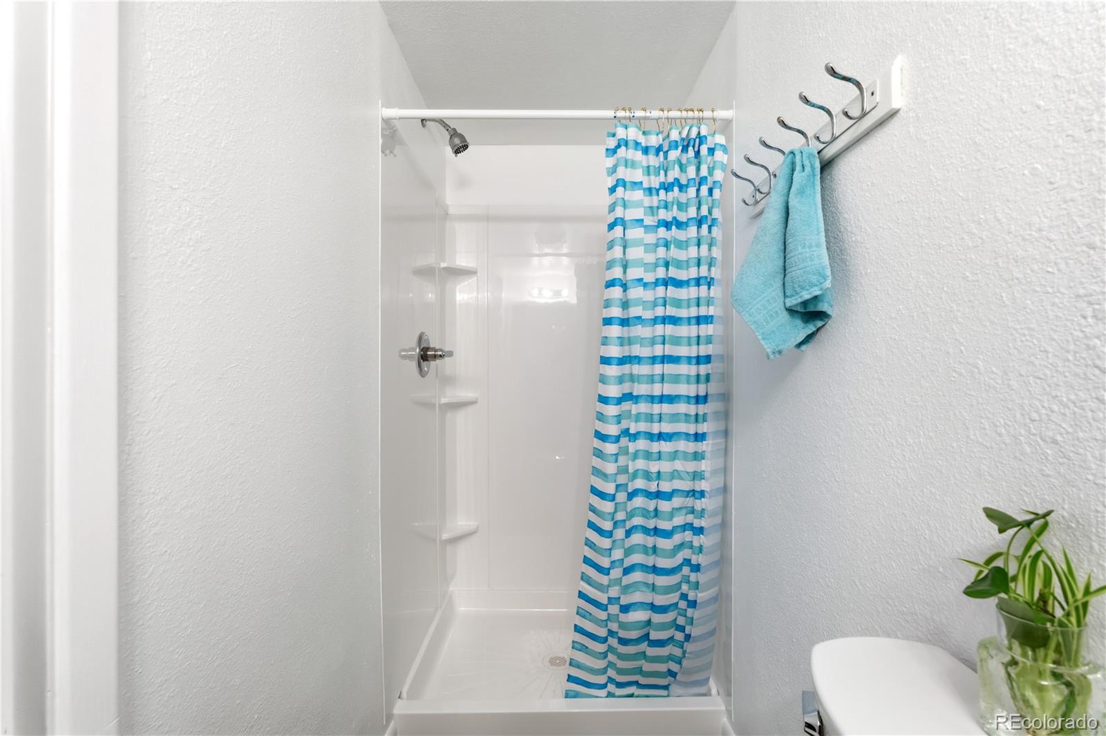 MLS Image #21 for 56  floyd hill way,evergreen, Colorado