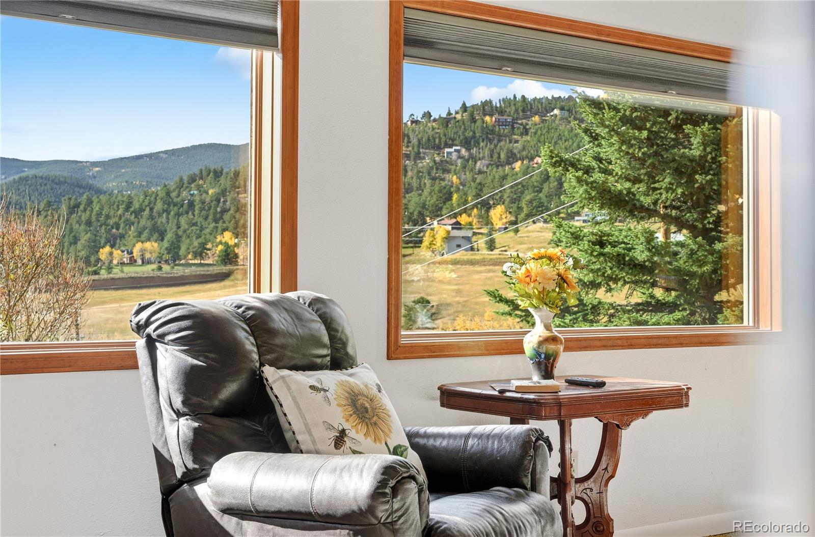 MLS Image #35 for 56  floyd hill way,evergreen, Colorado