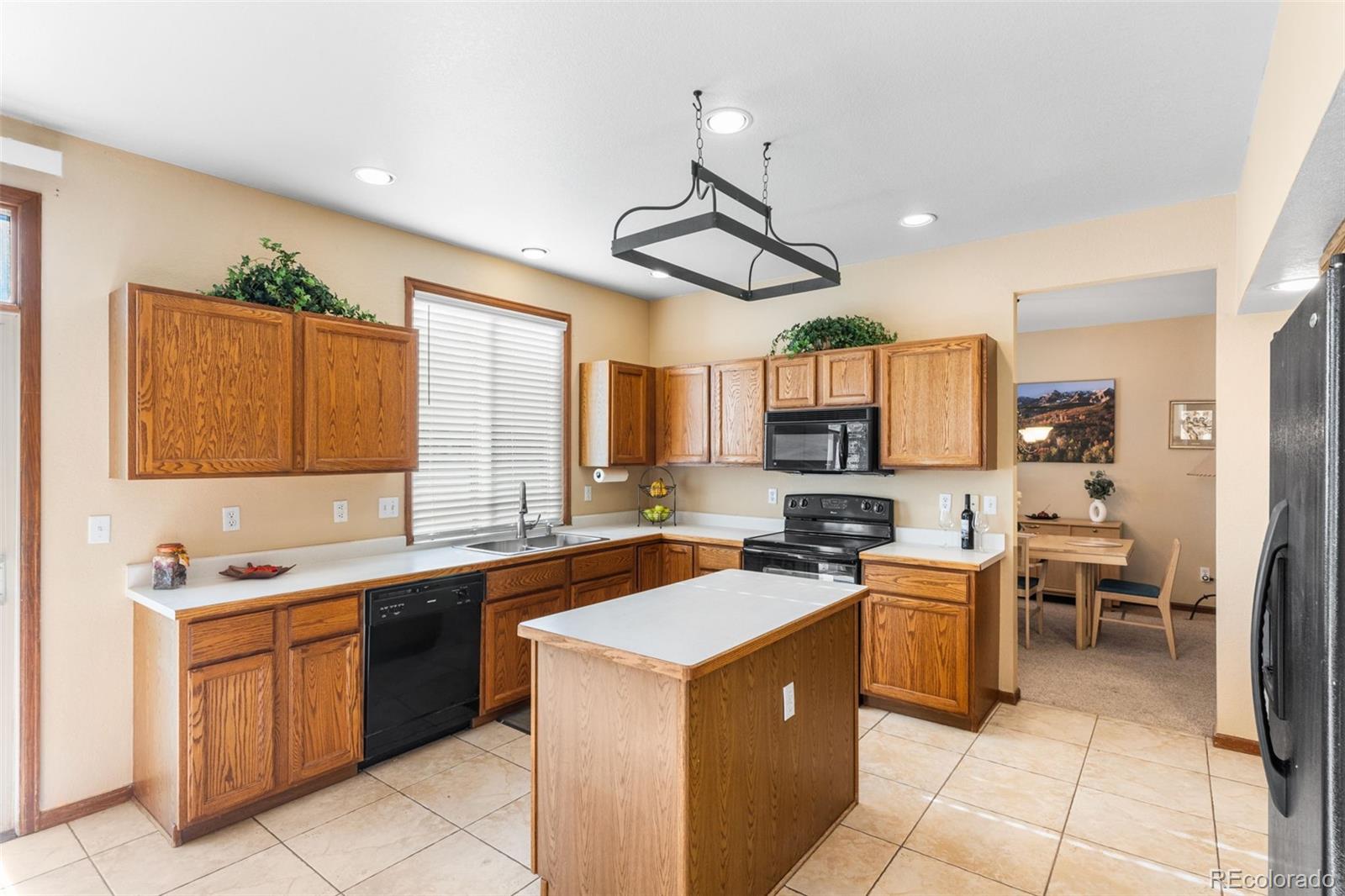 MLS Image #10 for 16382  maple rock court,parker, Colorado