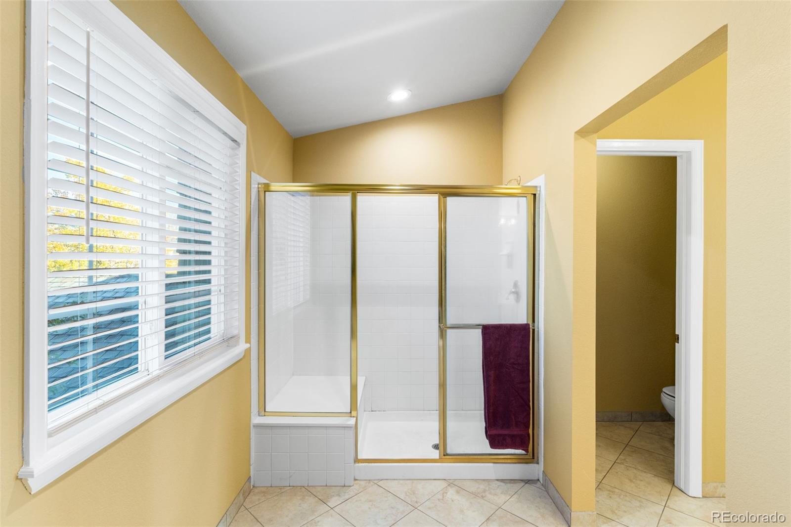 MLS Image #17 for 16382  maple rock court,parker, Colorado