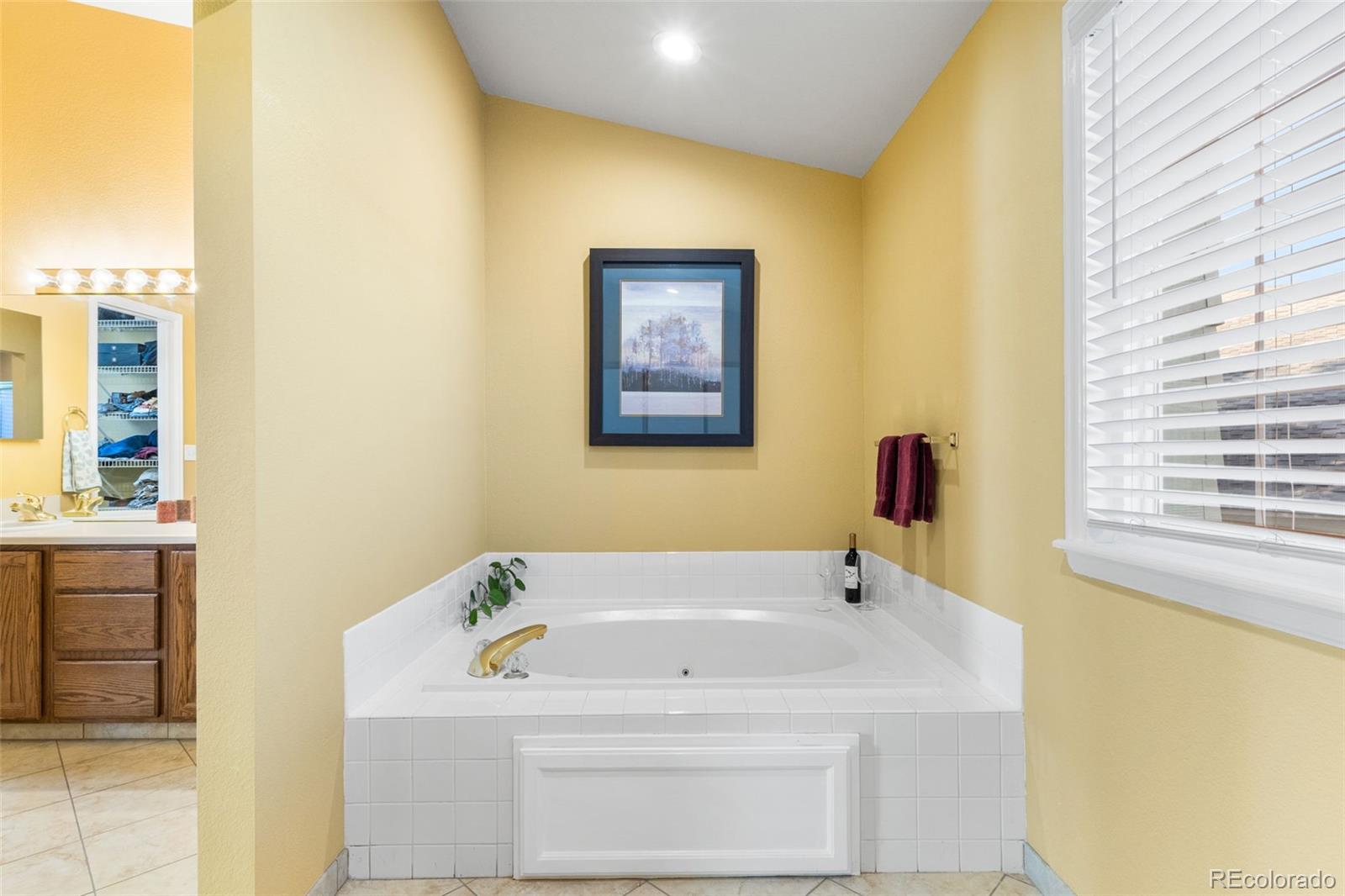 MLS Image #18 for 16382  maple rock court,parker, Colorado
