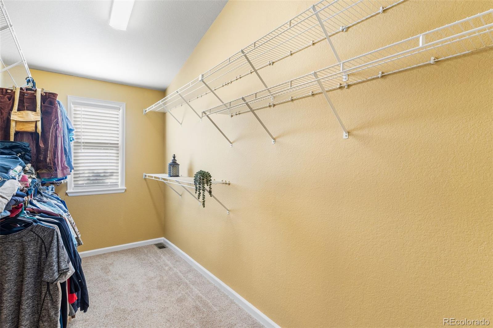 MLS Image #19 for 16382  maple rock court,parker, Colorado