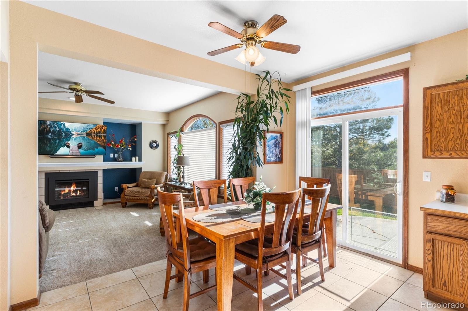 MLS Image #9 for 16382  maple rock court,parker, Colorado