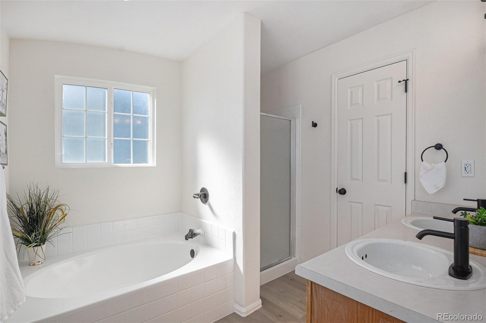 MLS Image #10 for 4853  cornish court,denver, Colorado
