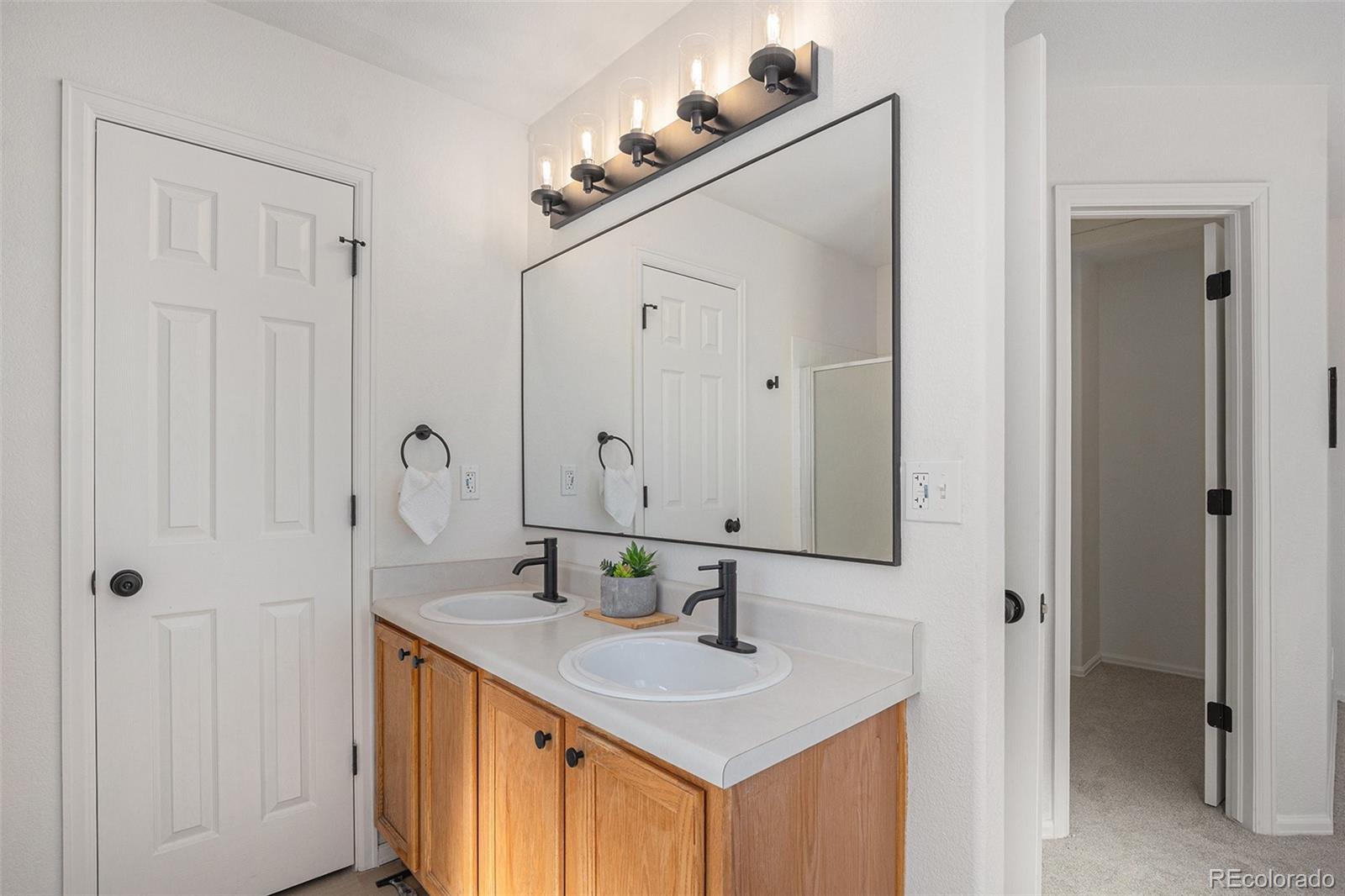 MLS Image #11 for 4853  cornish court,denver, Colorado