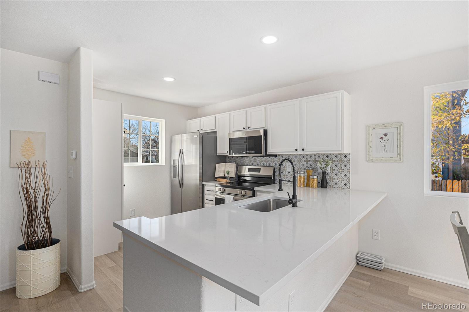 MLS Image #6 for 4853  cornish court,denver, Colorado