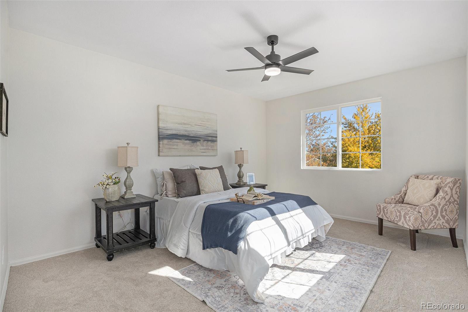 MLS Image #8 for 4853  cornish court,denver, Colorado