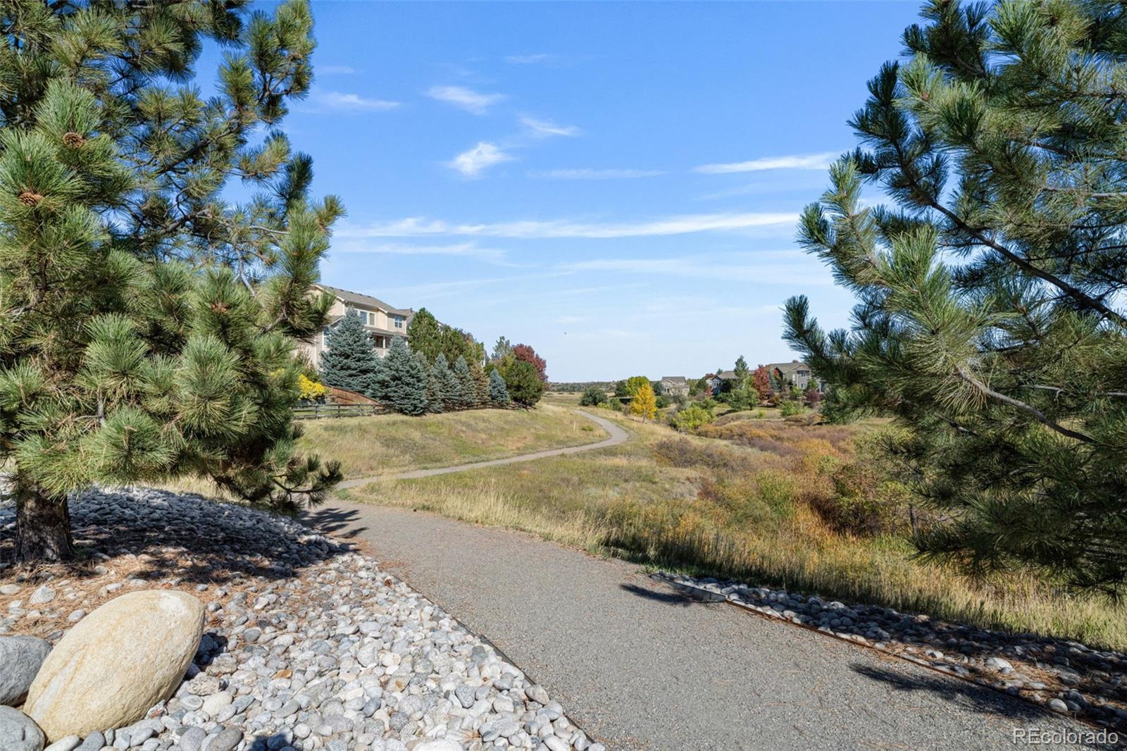MLS Image #10 for 2105  baguette drive,castle rock, Colorado