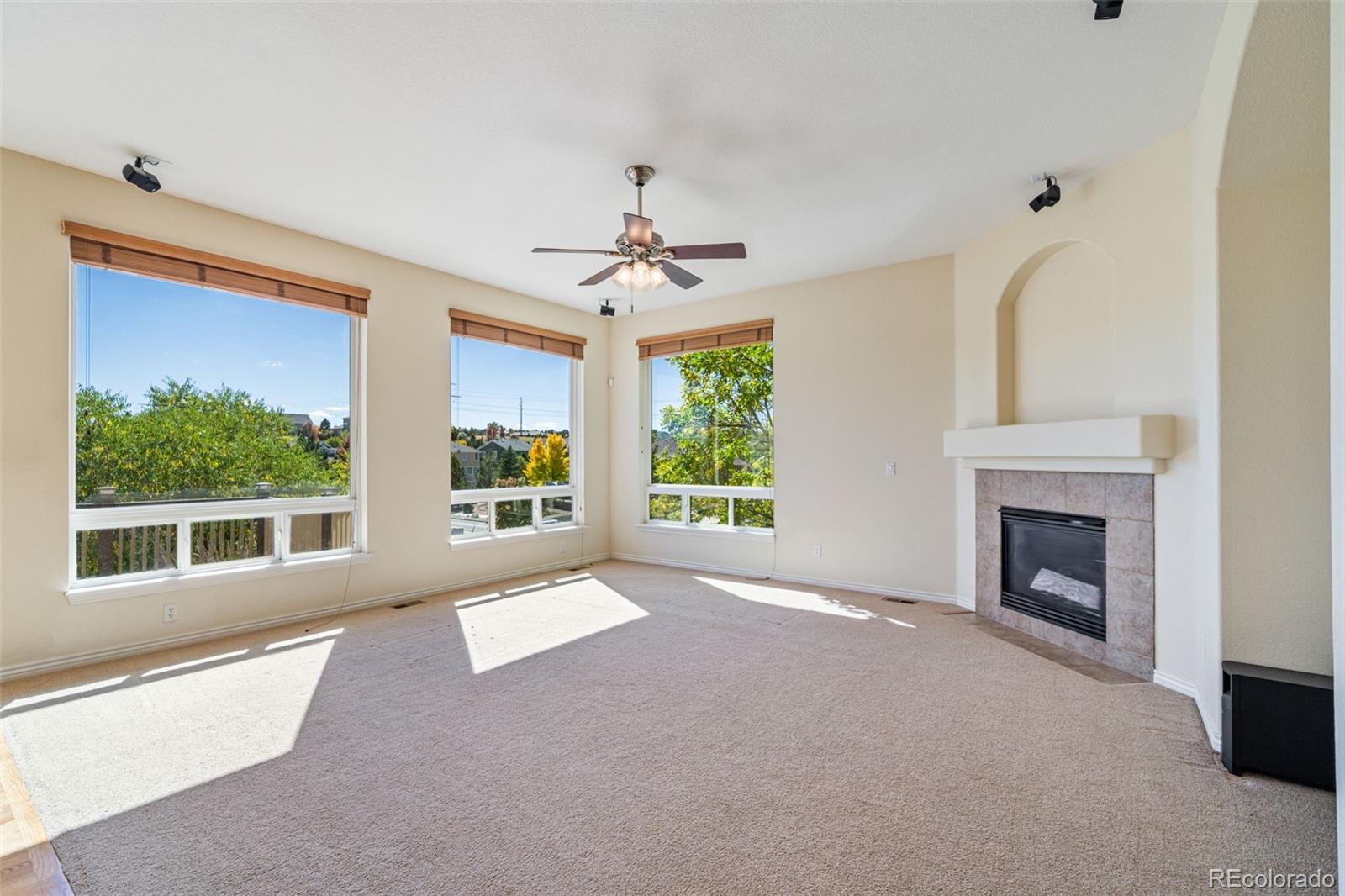MLS Image #17 for 2105  baguette drive,castle rock, Colorado