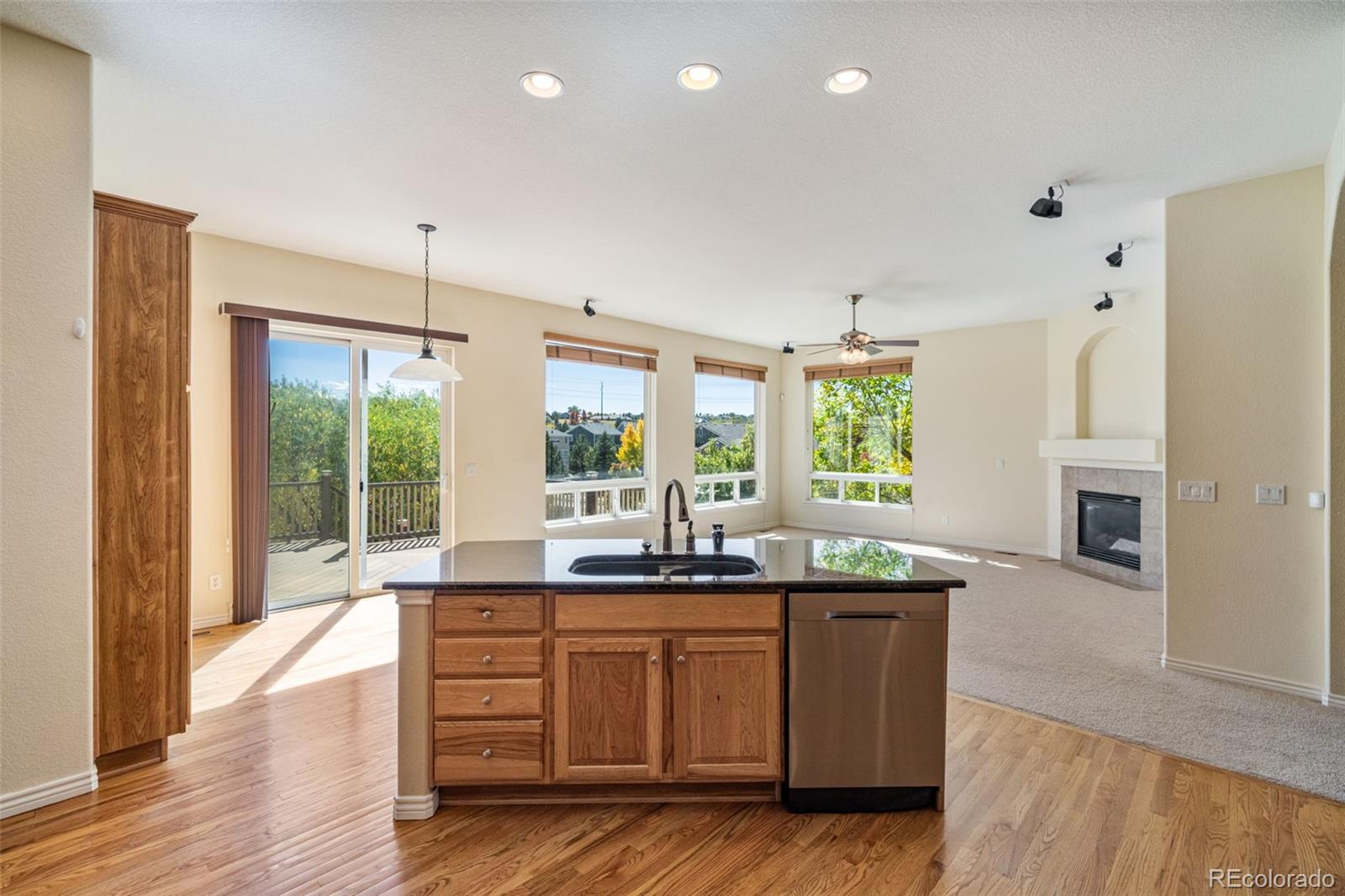 MLS Image #20 for 2105  baguette drive,castle rock, Colorado