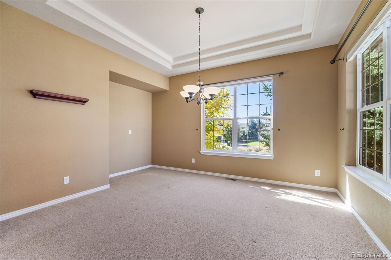 MLS Image #23 for 2105  baguette drive,castle rock, Colorado