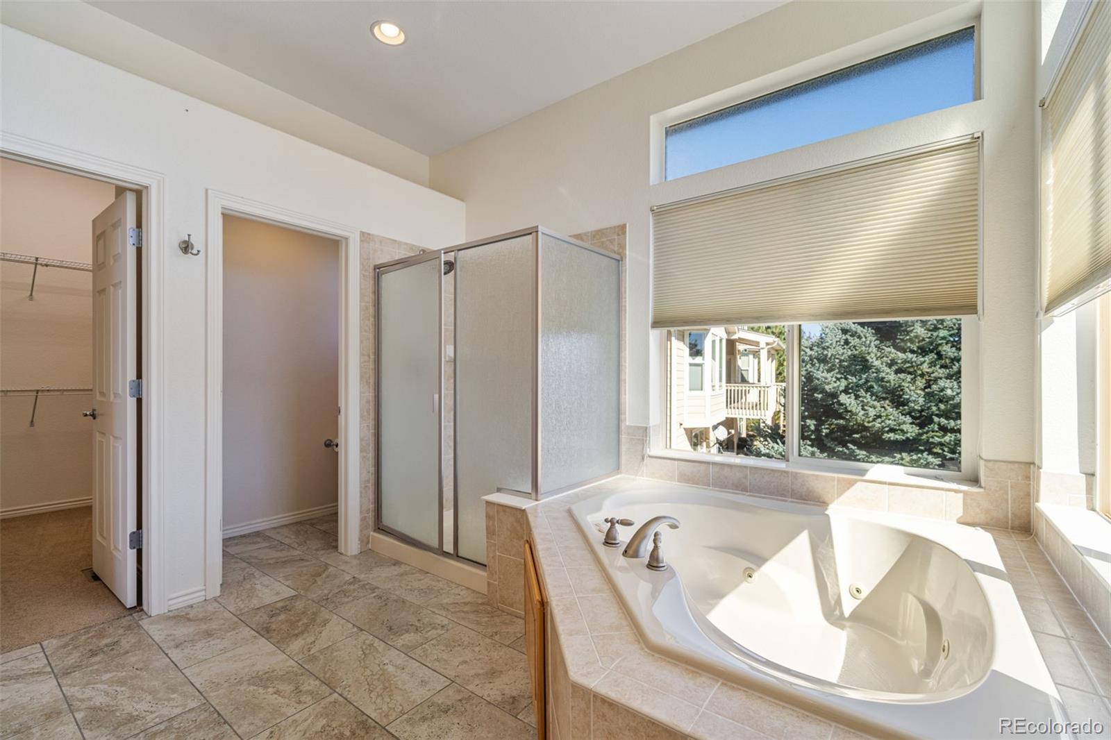 MLS Image #26 for 2105  baguette drive,castle rock, Colorado