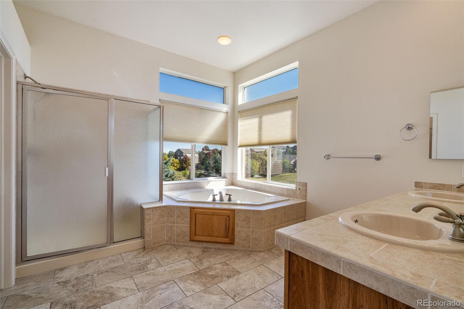 MLS Image #27 for 2105  baguette drive,castle rock, Colorado